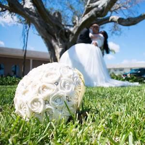 Meet your Posher, Danara